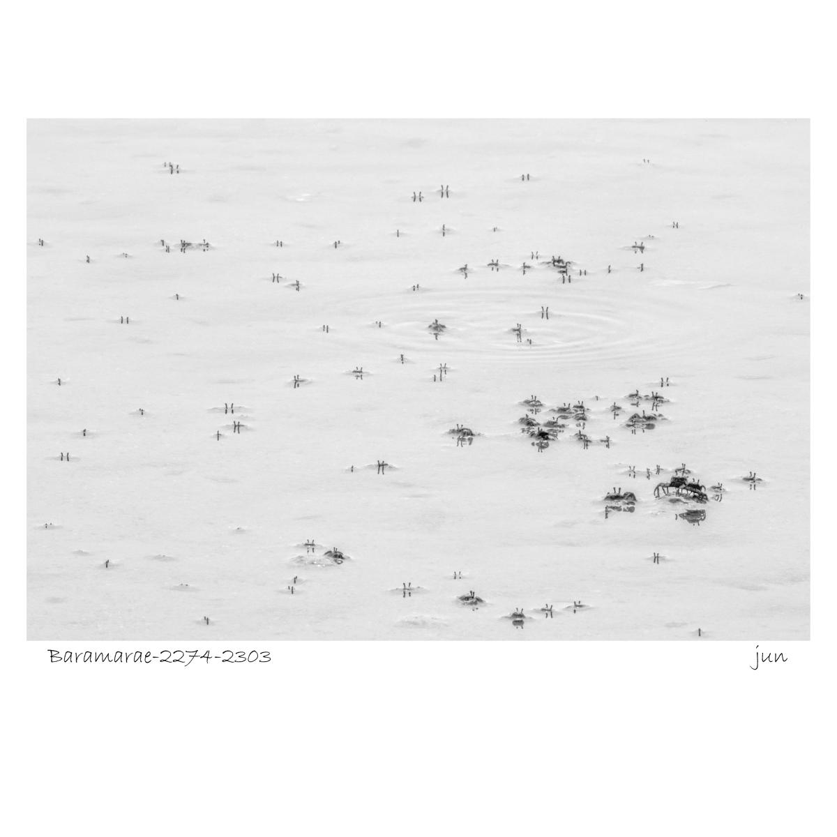 BA_2274