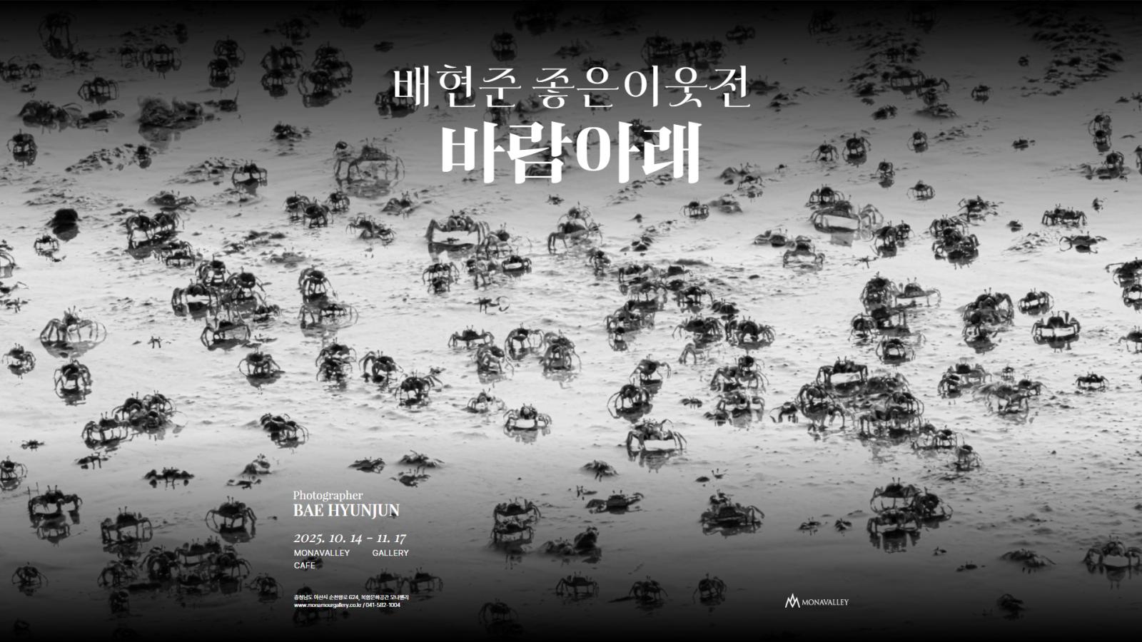 배현준 네번째 갯벌사진 전시 '좋은이웃'전 바람아래